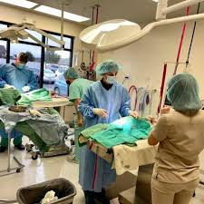 The pet sites portal is a free online service that keeps you connected with your veterinary team, anywhere, anytime, online. Best Friends Animal Hospital Urgent Care Center Billings Mt