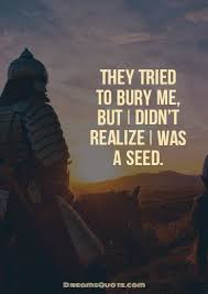 4:31 everyday stoic recommended for you. 35 Inspirational Warrior Quotes And Warrior Sayings Warrior Quotes Spirit Quotes Quotes