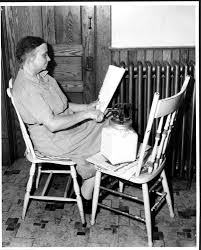 Image result for Blendtone Gray 1977 Hussmann