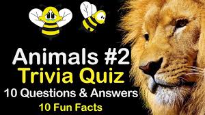 Animals Trivia Quiz Animal Kingdom 2 10 Trivia Questions And Answers 10 Fun Facts In 2020 Trivia Quiz This Or That Questions Trivia