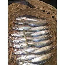 Ikan pindang layang bisa dimasak dengan berbagai cara, salah satunya adalah dibumbu balado. Ikan Cue Layang 1kg Size 110gr Terbaru Juli 2021 Harga Murah Kualitas Terjamin Blibli