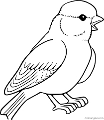 The olympian brothers each received a weapon to battle the titans: Cute Sparrow Coloring Page Coloringall