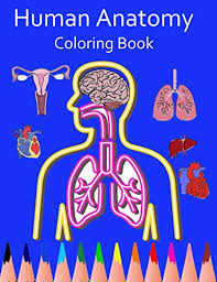 Tortoiseshell and calico coats result from an interaction between genetic and developmental factors. 100 Best Anatomy Books Of All Time Bookauthority