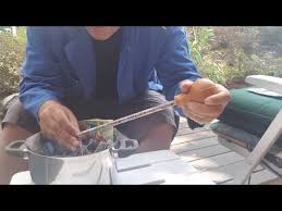 Yavru Guvercin Besleme Besleme Pompasi Youtube