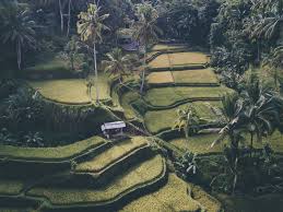 Auch einige hotels werden evakuiert. Zehn Fehler Die Man Bei Einer Bali Reise Vermeiden Sollte