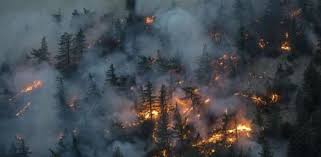 Cuenta con información actualizada sobre los incendios forestales (#iiff) en #españa 🔥. El Humo De Los Incendios De California Llega Hasta Baleares Tras Cruzar La Peninsula