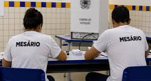 Quem n&atilde;o pode ser mes&aacute;rio? Entenda as regras para atuar nas elei&ccedil;&otilde;es &mdash; Tribunal Regional Eleitoral do Tocantins