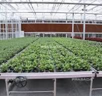 Ebb And Flow Bench System from China manufacturer - Prasada ...
