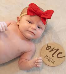 Turkey call by Andy Cobb (GhostBird Custom Calls) entered in the 2023 NWTF  Custom Call Contest and sold in the live auction . Division: 1