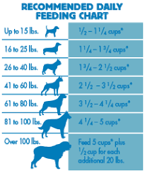 Feeding Chart For Dogs Goldenacresdogs Com