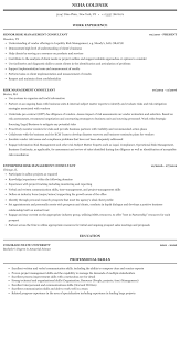 risk management consultant resume