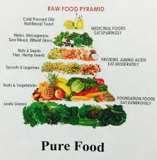 Raw Food Pyramid Vegan Food Pyramid Raw Food Challenge Raw Vegan Recipes