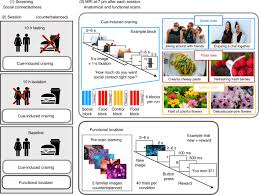 Évaluation des agences sur immoreviews. Acute Social Isolation Evokes Midbrain Craving Responses Similar To Hunger Nature Neuroscience