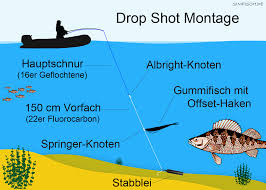 Dieser knoten zum verbinden von angelschnüren ist zur. Was Ist Drop Shot Angeln Simfisch De Angeln Und Outdoor