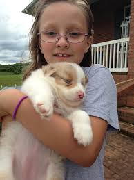 Fundraiser by Wendi Kitsteiner : Kenney Family