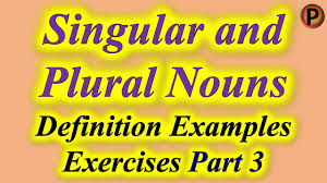 However, noun is not a semantic category, so it cannot be characterized in terms of its meaning. Singular And Plural Nouns Definition Examples And Exercises Part 3 English Grammar Youtube