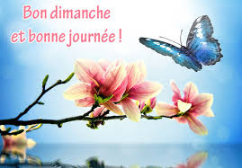 RÃ©sultat de recherche d'images pour "bon dimanche"