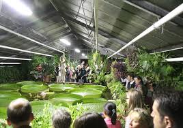 Parco am botanischen garten braunschweig. Victoria Gewachshaus Forderer Machen Neubau Moglich Regionalheute De