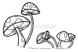 Black And White Mushroom Mushroom Line Drawing Tangle Art Drawings Owl Stencil