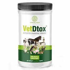Here S How And When To Give Your Dog Activated Charcoal