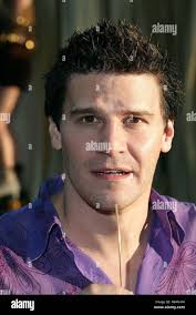 David austin portrait hi-res stock photography and images