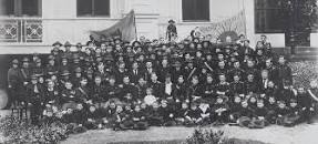 Image result for fianna eiran