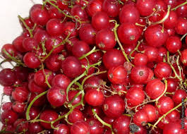 Confiture D Ete Aux Fruits Rouges Dans La Bulle De Manou