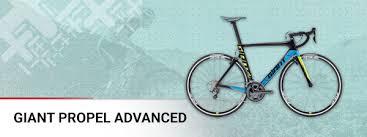 Petitioner legal representative eberle, robert eberle & bundick, llc: Giant Propel Advanced Kaufen Bei Fahrrad Xxl