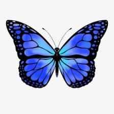 'aesthetic light blue butterflies | aesthetic giftidea' transparent sticker by redouanesolo. Blue Butterfly Png Images Free Transparent Blue Butterfly Download Kindpng