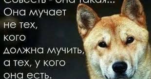 pin ot polzovatelya larisa adamchuk na doske citaty citaty mudrye citaty mysli