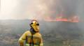 Latest Updates on Active Wildfires in Spain: Emergency Responses and Affected Regions