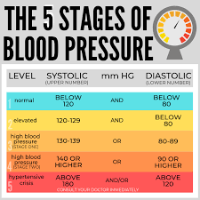 Blood Pressure Faqs The Heart Foundation