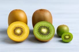 Image result for Actinidia