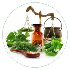 Resultado de imagen para productos tienda naturista