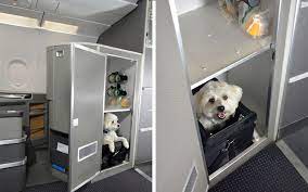 American airlines pet in cabin. American Airlines First Class Cabins For Pets Travel Leisure Travel Leisure