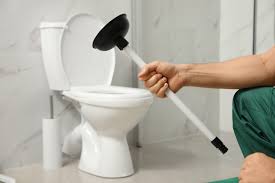 Now, plunge vigorously in and out while maintaining the seal. How To Unclog A Slow Draining Toilet ð——ð—²ð˜ð—¼ð˜‚ð—¿ ð—£ð—¹ð˜‚ð—ºð—¯ð—¶ð—»ð—´