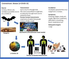 The sooner medical teams can begin treating the symptoms, the higher the chance of avoiding symptoms. Coronavirus Ncovid 19 A Pandemic Disease And The Saudi Precautions Sciencedirect