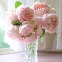 Flowers for everyone was handpicked as the number one online florist in canstar blue's 2021 review, with five stars for overall satisfaction and right across the board. Pickupflowers Gifting Inc Reviews 60 Reviews Of Pickupflowers Com Resellerratings