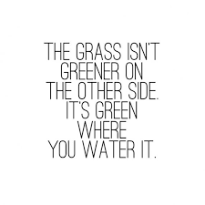 The Grass Is Always Greener On The Other Side Quotes Meaning Insta June Advice Quotes Relationship Advice Quotes Life Quotes