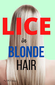 Lice In Blonde Hair Lice Eggs Pictures And Unique Challenges In 2020 Blonde Hair Hair Lice Lice Eggs