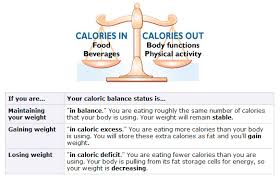 Check spelling or type a new query. How Does Metformin Xr Work