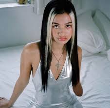 Pin By Lily On Szns Hair Streaks Black Hair Blonde Streak Black Hair Aesthetic
