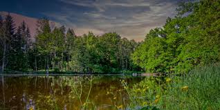 Browning Forshay Funeral Home Hawthorne Nj Funeral Home Cremation