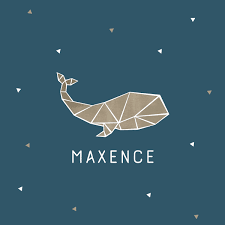 Vous pouvez assortir votre enveloppe au papier choisi (papier rosemood création ivoire, blanc texturé ou irisé) ou bien ajouter une touche de. Faire Part Naissance Baleine Origami Faire Part Original Illustre