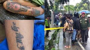 Kami tidak menemukan reptil sama sekali, kata gemmell kepada live science. Gadis Cantik Bertato Tewas Tanpa Busana Di Selokan Tato Burung Hantu Hingga Luka Di Sekujur Tubuh Halaman All Tribun Pontianak