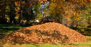 Be mindful of how long or short you keep your grass in the fall. Fall Lawn Care 7 Tips To Protect Your Yard This Old House