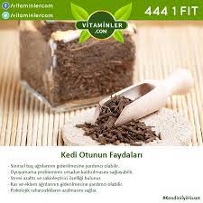vitaminler com urunleri panosundaki pin