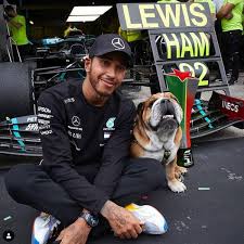 Auch ihr eigenes geld verdienen sie. Formel 1 Hamilton In Neuem Mercedes Werbesport Mit Seinem Hund Roscoe