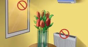 Use this guide to determine how long you can keep chocolate covered strawberries so you can enjoy your strawberries for as much time as possible. How To Preserve Cut Flowers With Wax 6 Steps With Pictures