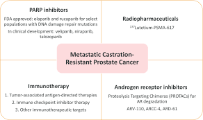 It was popularised in the 1960s with the release of letraset sheets containing lorem ipsum passages, and more recently with … Novel Therapies Are Changing Treatment Paradigms In Metastatic Prostate Cancer Journal Of Hematology Oncology Full Text